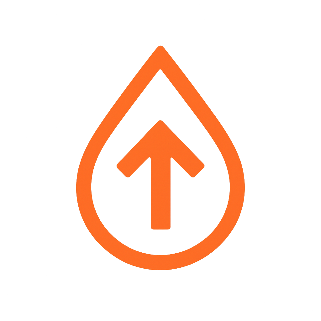 Logo for WashFlick